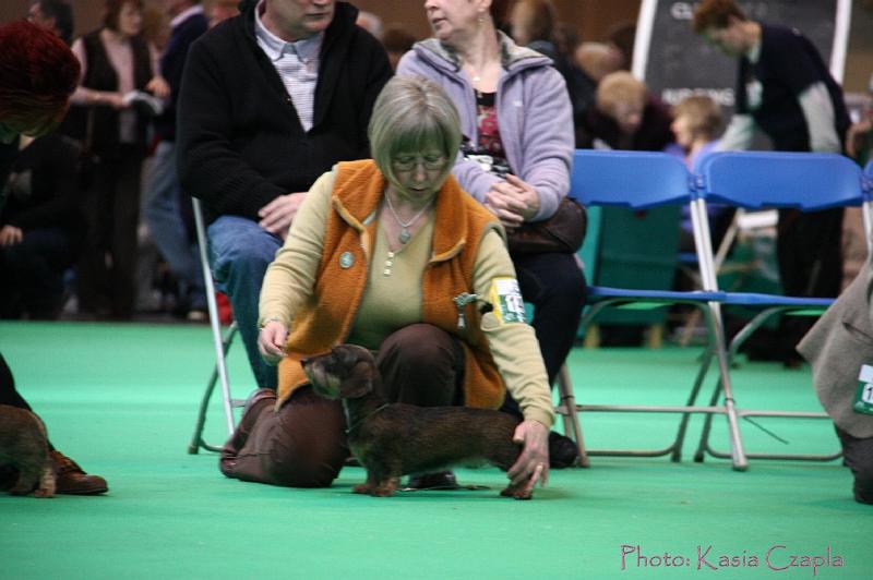 Crufts2011_2 1442.jpg